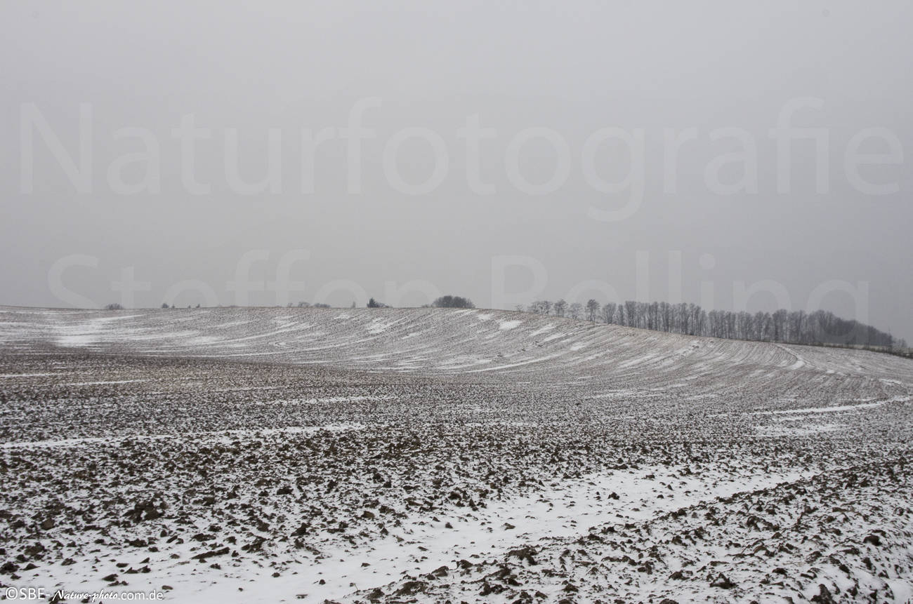 _IGP3811